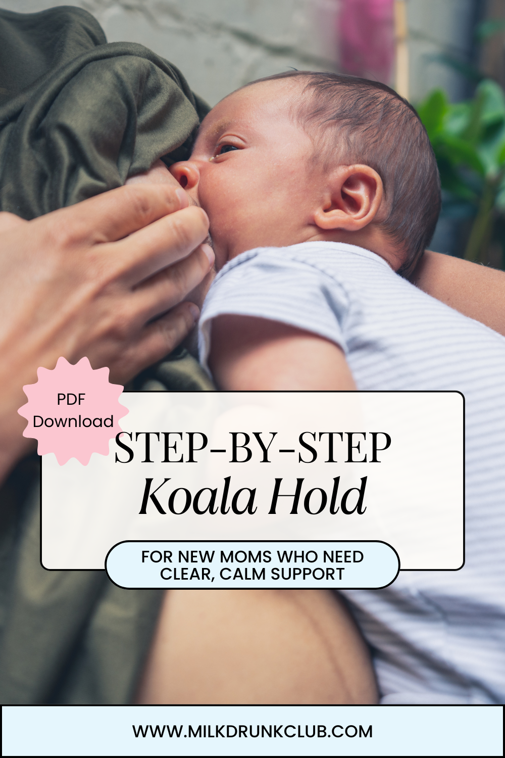 Koala Hold Breastfeeding Position Guide (Digital Download) Milk Drunk Club